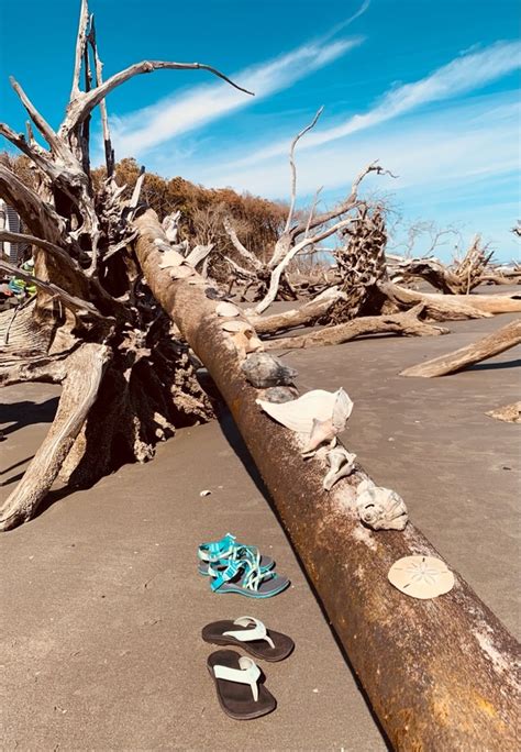 Boneyard Beach Bulls Island In Awendaw Sc 2020 Photos Reviews