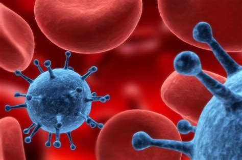 Study Uncovers How A Common Virus Causes Blood Cancer