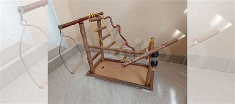 Игровой стенд для попугая купить в Москве | Животные и зоотовары | Авито