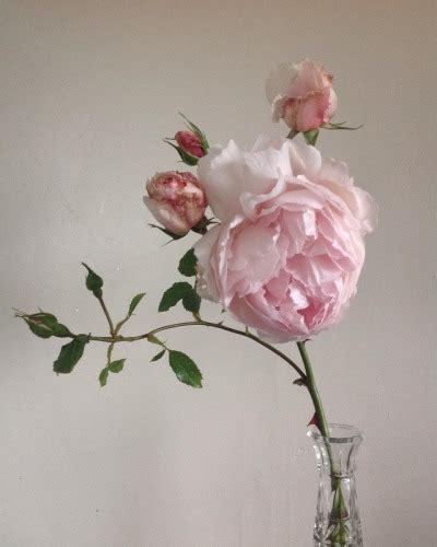 Post My Pussy Tastes Like Coca Cola Tumblr Tumbex