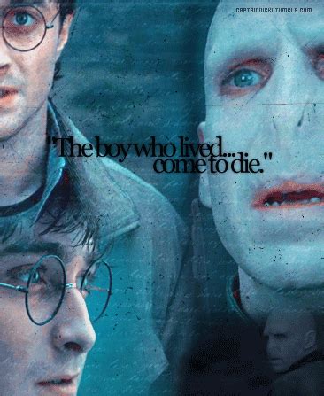 Deathly Hallows - Harry Potter and Lord Voldemort Fan Art (16289973 ...