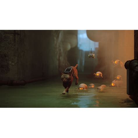 Stray PlayStation 4 · Meridiem Games · El Corte Inglés