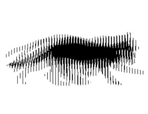 Incredible Moving Optical Illusions By Brusspop Optical Illusions
