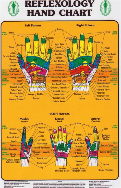 Hand Reflexology Chart ( Pacific Institute)