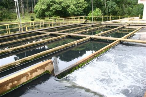 Tratamento De Agua Para O Consumo Humano - Tratamento de água para consumo humano adequado deve ser feito conforme ...