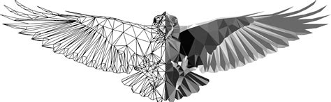 Intelligent Design The Definitive Source On Id