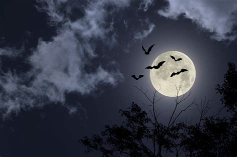 Spooky Halloween Sky Stock Photo - Download Image Now - iStock