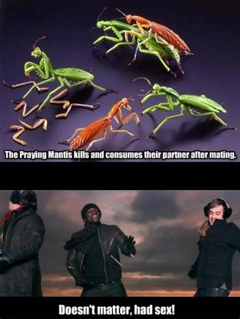 Image 175812 Doesn T Matter Had Sex Know Your Meme