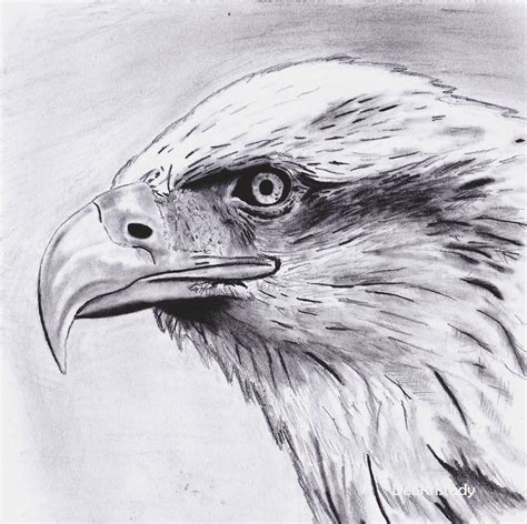 Eagle Sketch By Deokristady On Deviantart