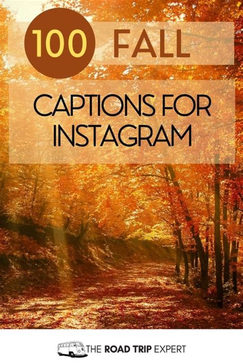 100 Beautiful Fall Instagram Captions and Quotes for Insta