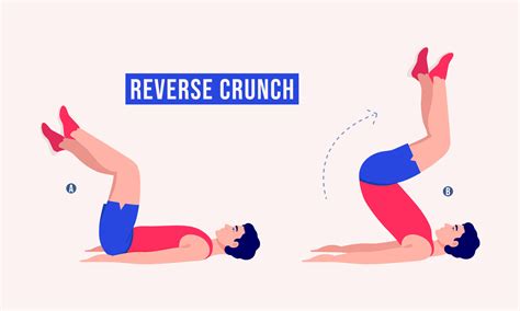 reverse crunch exercise men workout fitness aerobic  exercises
