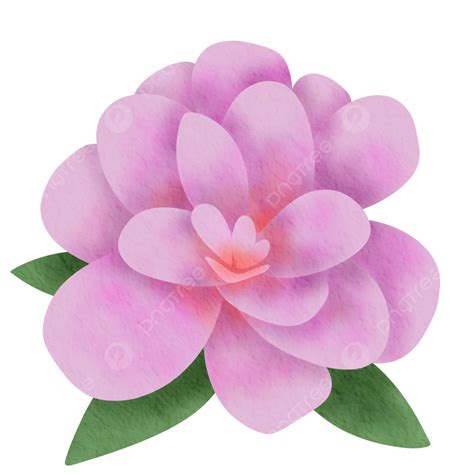 Ilustração De Flor Rosa Png Flor Flores Cor De Rosa Ilustração De