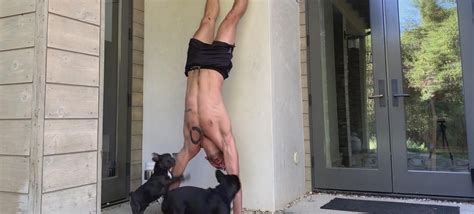 Un Documentario Sulla Vita Delle Pornostar Gay In Tempo Di Coronavirus