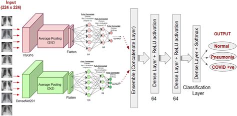 Proposed Ensemble Deep Transfer Learning Model By Using The Modified