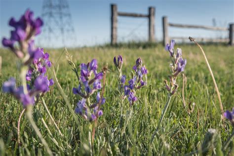 10 Legendary Reasons to Visit North Dakota Now | Chasing Departures