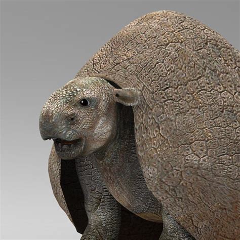 Doedicurus Prehistoric 3d Obj