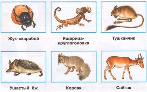 ГДЗ Окружающий мир 4 класс рабочая тетрадь №1 Плешаков, Новицкая. В ...