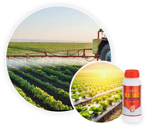 Tyrone Agro Chemicals Pvt Ltd Agriculture Pesticides