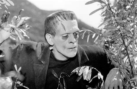 Frankenstein (1931) - Turner Classic Movies