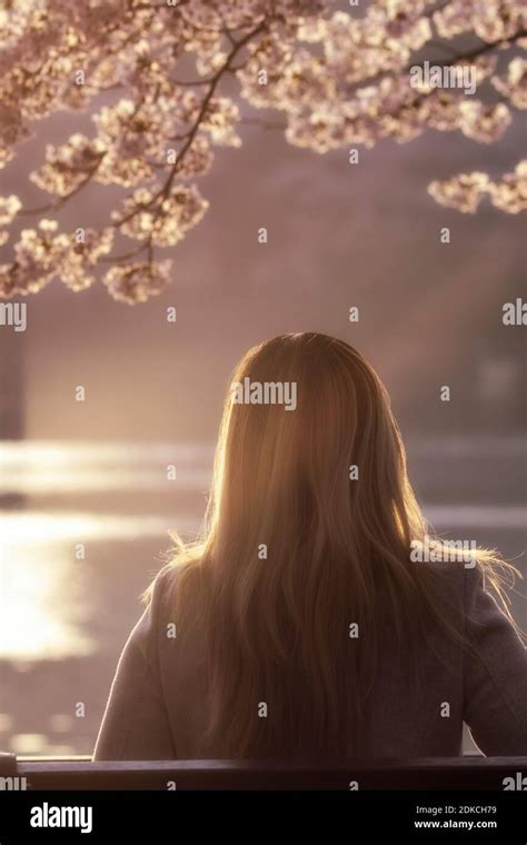 Blonde Women Blossom Tree Hi Res Stock Photography And Images Alamy