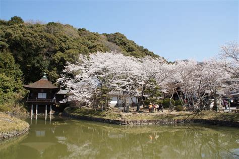 Negoro Ji Temple Wakayama