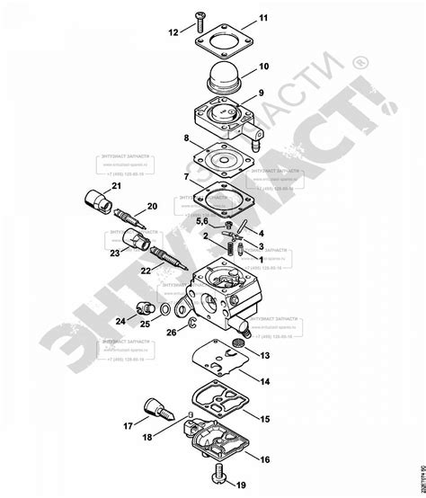 stihl fsa 57 parts diagram - Naturalial