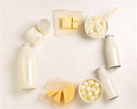 Productos lácteos y leche fermentada productos orgánicos fermentados