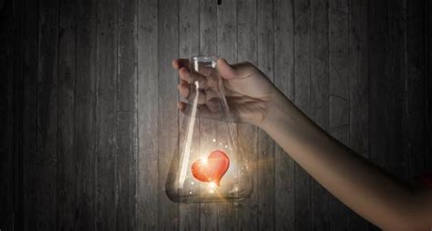 Rewards, Incentives & Gift Ideas for the Scientifically Driven Person