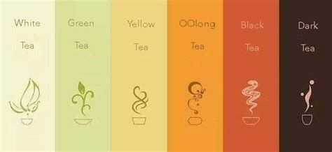 Types of Chinese Tea - Hey China