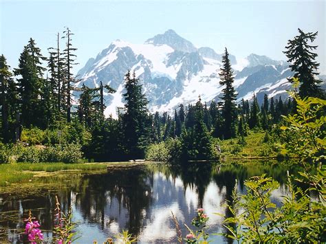 wallpaper jpeg format png format   android app light weight