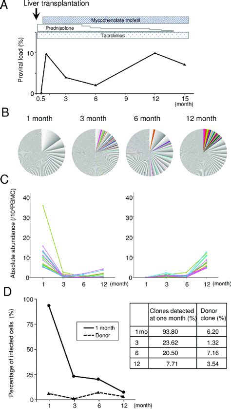 Proviral Load And Clonality In The HTLV 1 Seronegative Patient Who