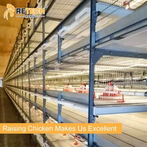 Poultry Farm Broiler Cages H Type Broiler Chicken Cage In Kenya China