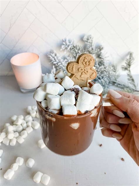 Vegan Hot Cocoa Lovely Delites