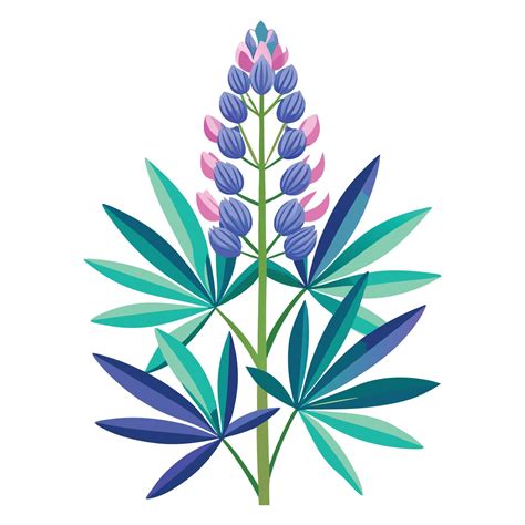 Beautiful Lupine Plant with Tall Stems and Flowers 60312141 Vector Art