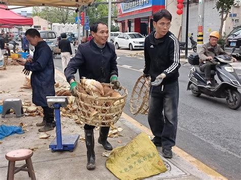 浙报聚焦丨“春之味”大规模上市 春笋一条街人气火爆