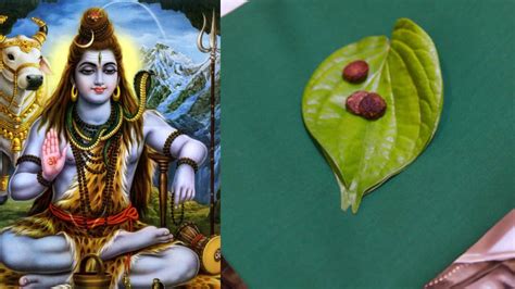 Sawan 2024 Why Is Paan Offered To Lord Shiva In The Month Of Sawan