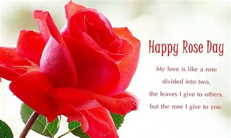 50+ Amazing Happy Rose Day Quotes for Friends 2024 - QuotesProject.Com