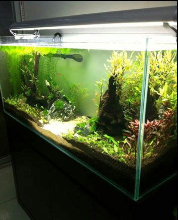 Aquatic ecological aquarium - 1.5x0.3x1.2 - 360 space planting (China ...