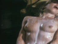 Naked Puppa Armbruster In Ein Echter Hausfrauenfreund