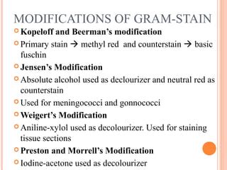 Gram Stain Practical Briefing Ppt