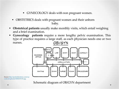 Gynecology And Obstetrics Department