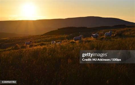 341 Omagh Town Stock Photos, High-Res Pictures, and Images - Getty Images