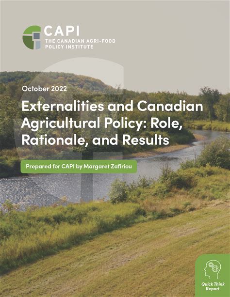What Are Some Externalities Associated With Agri Envrionemtnal Policies 3