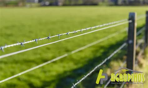Utilidad Del Alambre De Púas En Cultivos Agropinos