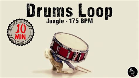 Jungle Drum Bass Drums Loop Bpm Youtube