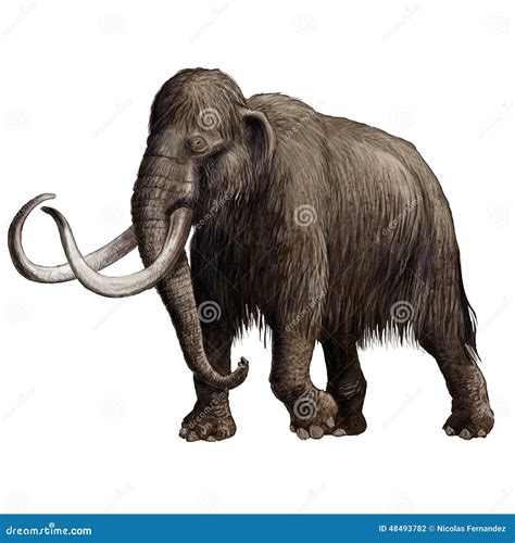 Ice Age Mammoth Royalty-Free Stock Photo | CartoonDealer.com #20450799