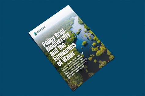 Water Consumption Measurements And Sustainable Water Use Global