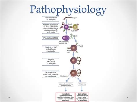Anaphylaxis