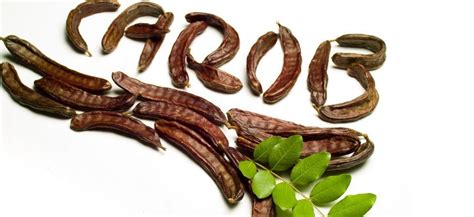 Кэроб: польза, вред, рецепты и применения