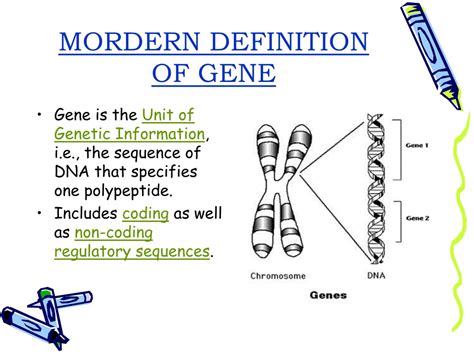 PPT - Evolution and Concepts of Genes | Comprehensive Overview by Nupur ...